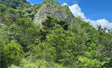 FINCA EN VENTA EN CHICA CHAME