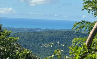 FINCA EN VENTA EN CHICA CHAME