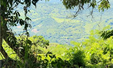 FINCA EN VENTA EN CHICA CHAME