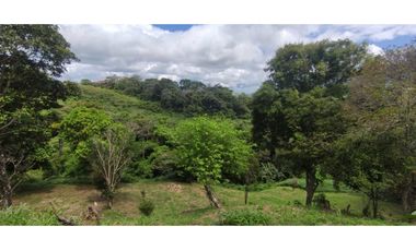 Se Vende Terreno en La Laguna de San Carlos