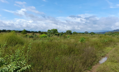 Venta de Finca Aceitera Reposeida Chiriqui