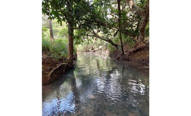 Venta de Finca Aceitera Reposeida Chiriqui