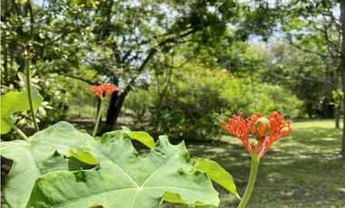 Se Vende Finca con Cabañas en San Carlos