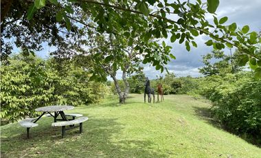Se Vende Finca con Cabañas en San Carlos