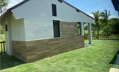 Terra Viva - Coronado