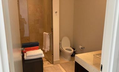 Punta Arenas buenaventura (ID 13137)