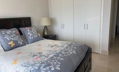 Punta Arenas buenaventura (ID 13137)