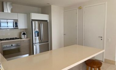 Punta Arenas buenaventura (ID 13137)