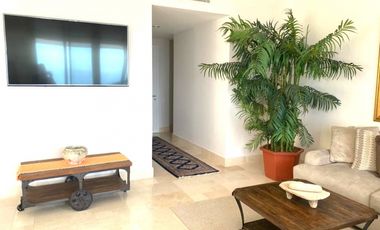 Punta Arenas buenaventura (ID 13137)