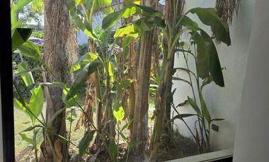 Casa en venta a la laguna, Barrio Cerrado, Escobar, GBA Norte