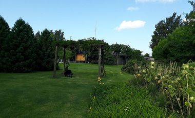 Casa - La Plata