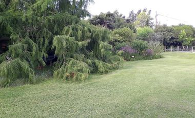 Casa - La Plata