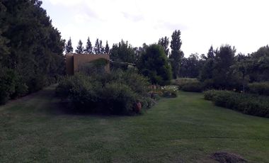 Casa - La Plata
