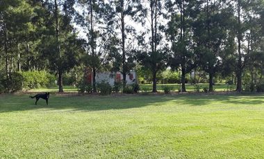 Casa - La Plata