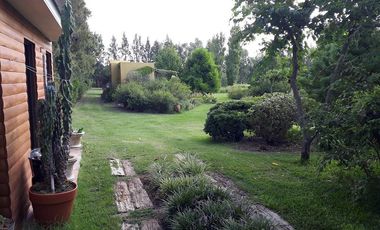 Casa - La Plata
