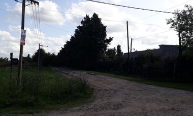 Casa - La Plata