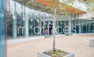 Renta local  comercial en P.B  de 1265 m2 + 200.57 m2 Terraza   Centro Monterrey