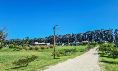 Lote 234 en  Barrancas de San Benito de 929 m2