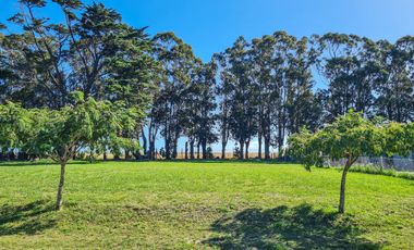 Lote 234 en  Barrancas de San Benito de 929 m2