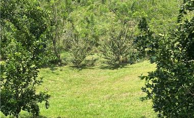 VENTA FINCA TITIRIBI, SUROESTE ANTIOQUEÑO