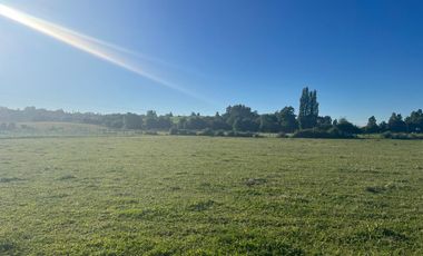 Parcela con vista Lago Ranco