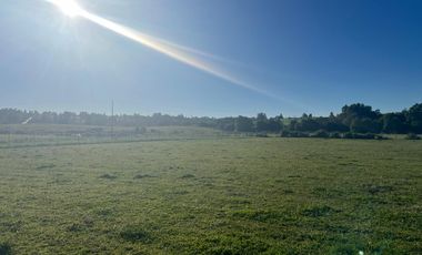 Parcela con vista Lago Ranco