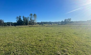 Parcela con vista Lago Ranco