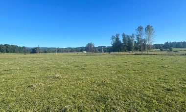 Parcela con vista Lago Ranco
