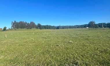 Parcela con vista Lago Ranco