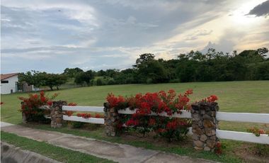 Venta de Lote | Punta Barco