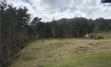 EXCLUSIVO LOTE CAMPESTRE EN EL RETIRO