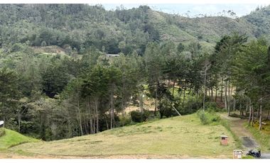 EXCLUSIVO LOTE CAMPESTRE EN EL RETIRO