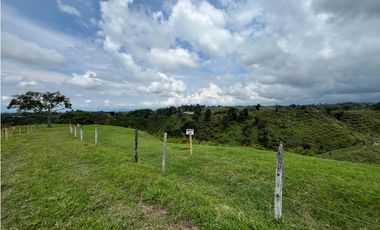 Venta de lotes campestres en parcelación Alcalá, Valle del Cauca