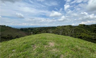 Venta de lotes campestres en parcelación Alcalá, Valle del Cauca