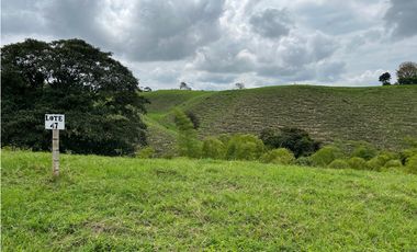 Venta de lotes campestres en parcelación Alcalá, Valle del Cauca