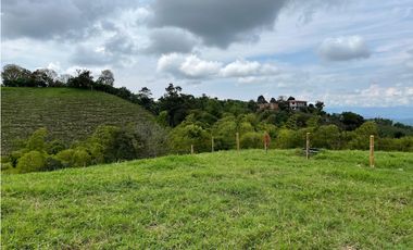Venta de lotes campestres en parcelación Alcalá, Valle del Cauca