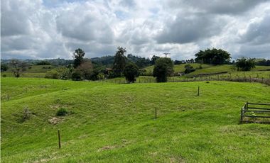 Venta de lotes campestres en parcelación Alcalá, Valle del Cauca