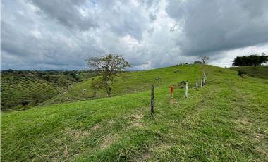 Venta de lotes campestres en parcelación Alcalá, Valle del Cauca