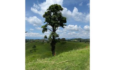 Venta de lotes campestres en parcelación Alcalá, Valle del Cauca