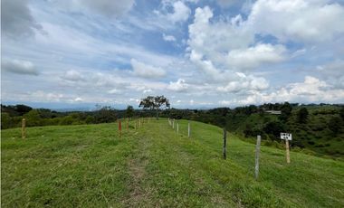 Venta de lotes campestres en parcelación Alcalá, Valle del Cauca