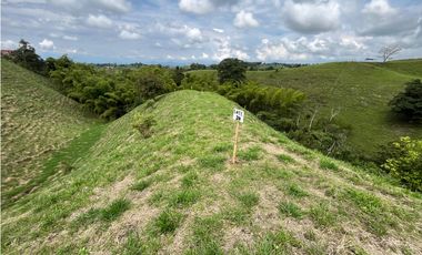 Venta de lotes campestres en parcelación Alcalá, Valle del Cauca