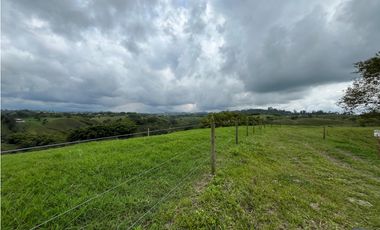 Venta de lotes campestres en parcelación Alcalá, Valle del Cauca