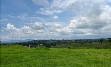 Venta de lotes campestres en parcelación Alcalá, Valle del Cauca
