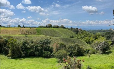 Venta de lotes campestres en parcelación Alcalá, Valle del Cauca