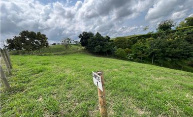 Venta de lotes campestres en parcelación Alcalá, Valle del Cauca