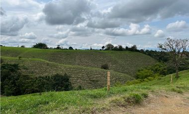 Venta de lotes campestres en parcelación Alcalá, Valle del Cauca