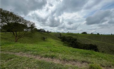 Venta de lotes campestres en parcelación Alcalá, Valle del Cauca