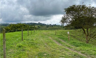 Venta de lotes campestres en parcelación Alcalá, Valle del Cauca