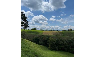Venta de lotes campestres en parcelación Alcalá, Valle del Cauca
