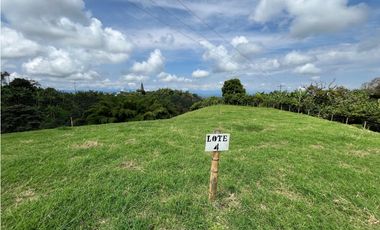 Venta de lotes campestres en parcelación Alcalá, Valle del Cauca